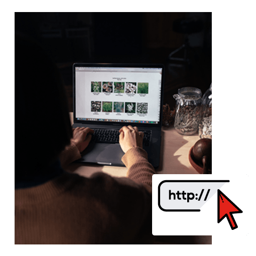 WEB-DESIGN-LOOKING_v2 WEB-DESIGN-LOOKING_v2